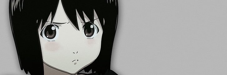 fergnatc banner