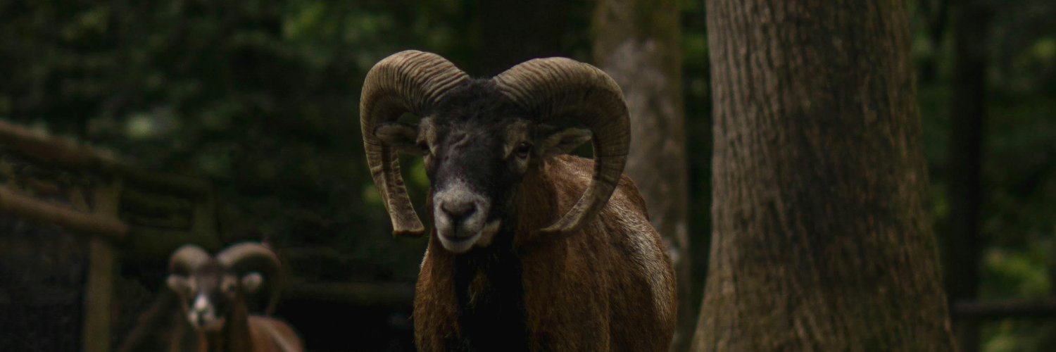 Pubs2EZ's profile banner image