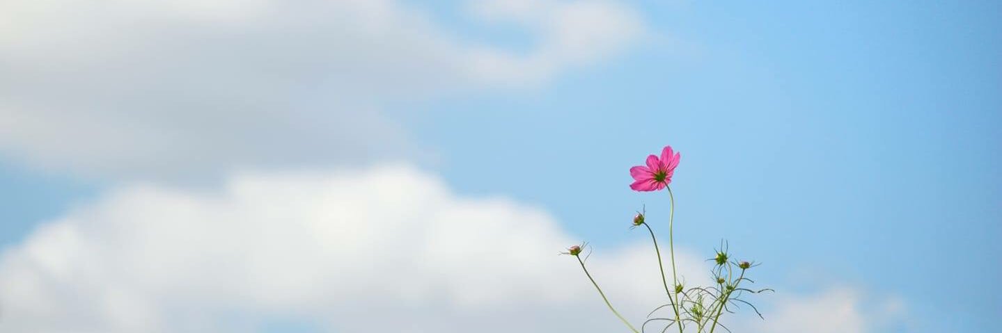 htunthanda1's profile banner image
