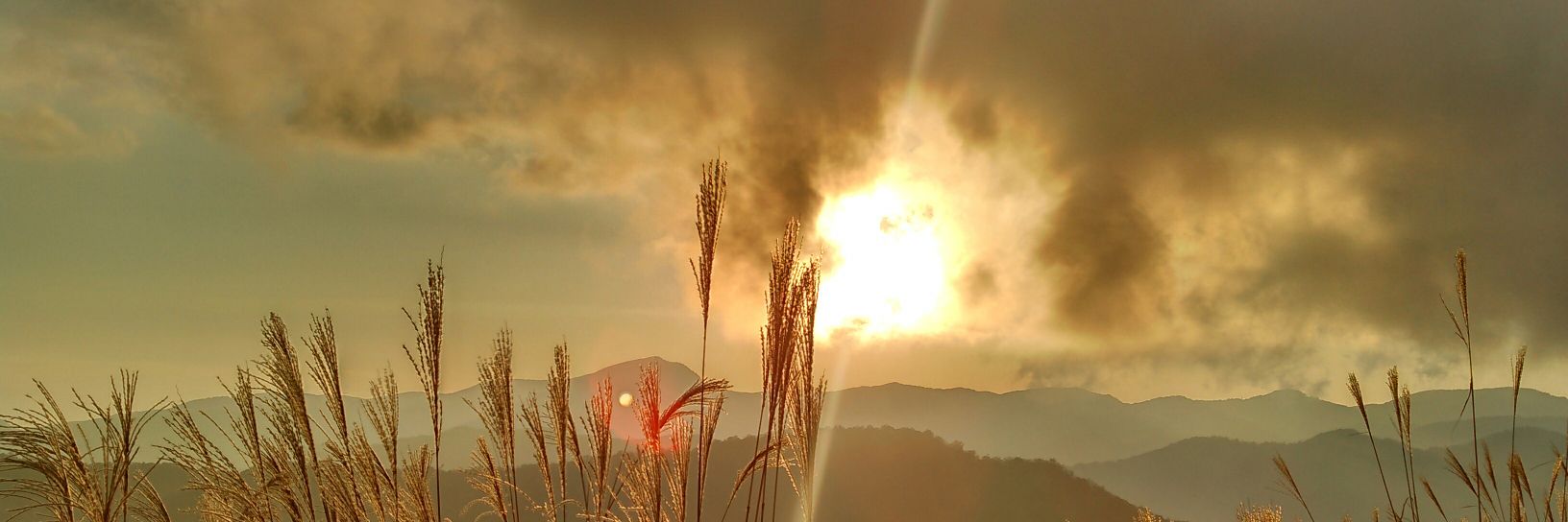 HideSim's profile banner image