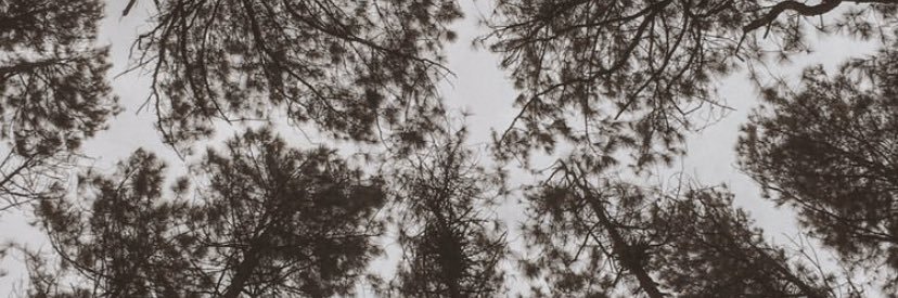 IlfiIntan's profile banner image