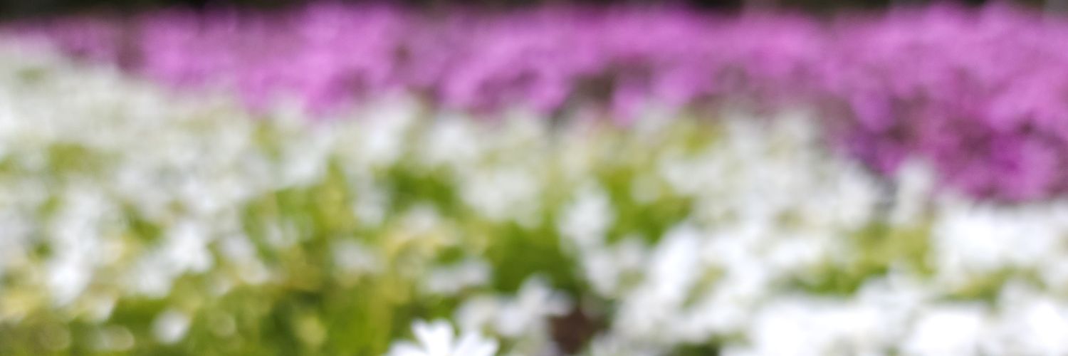 f8l4u's profile banner image