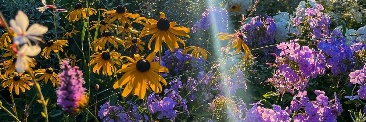 HonestGlam's profile banner image