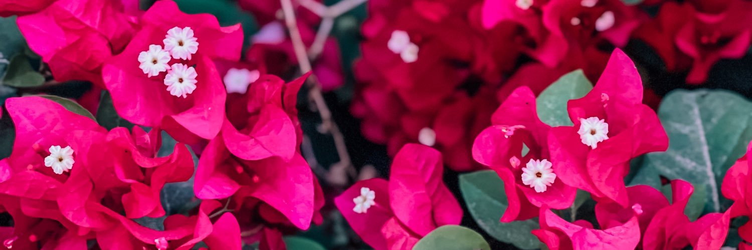f_a525's profile banner image