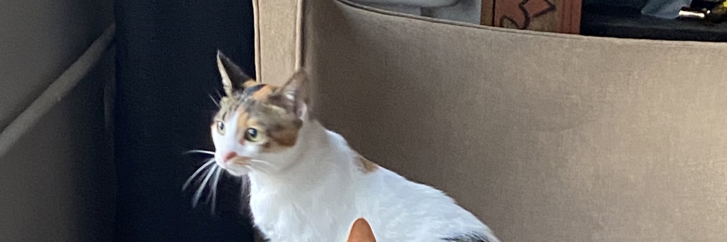 mayksnet's profile banner image
