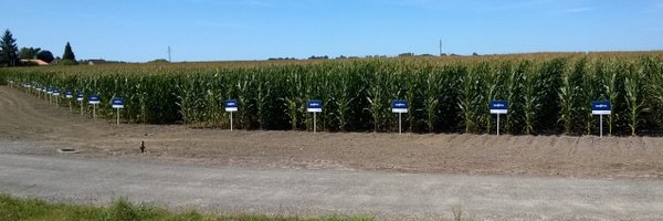 DidierBeguery Profile Banner