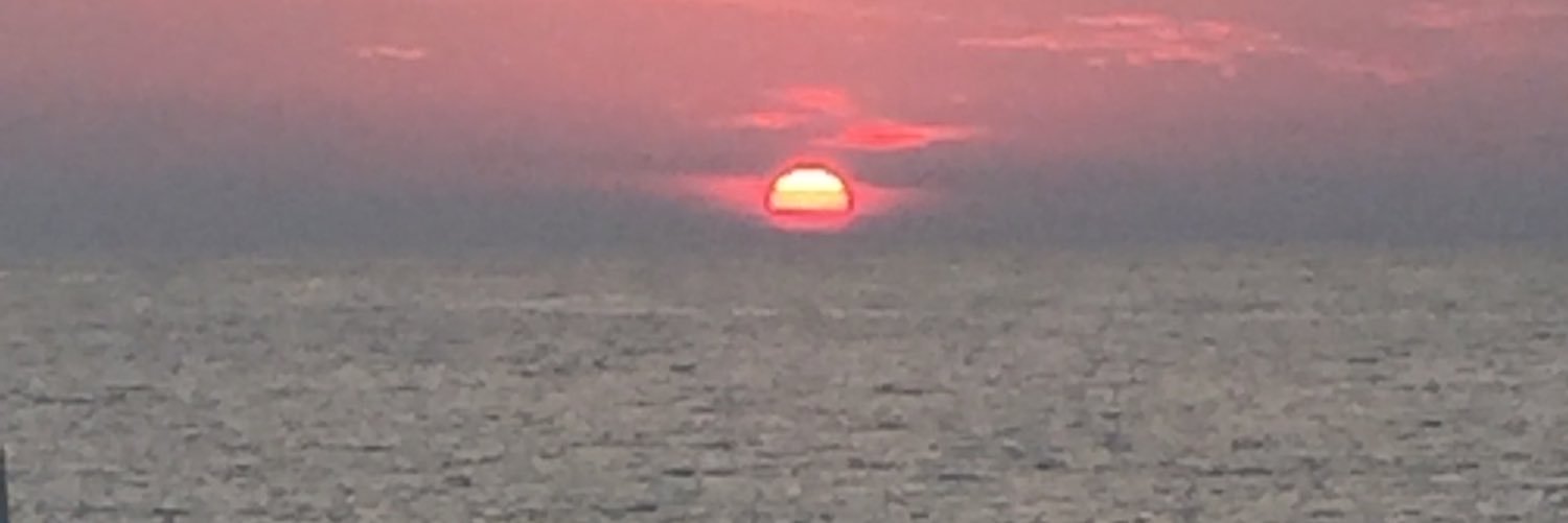 lauramadaro's profile banner image