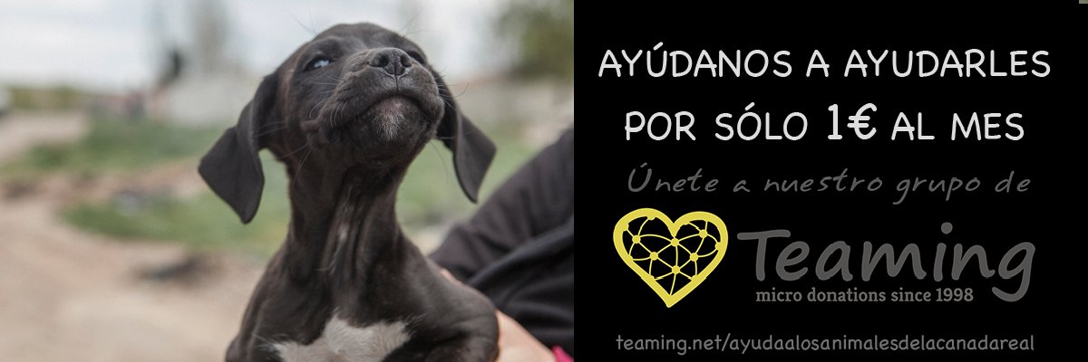 Proyecto Cañada banner