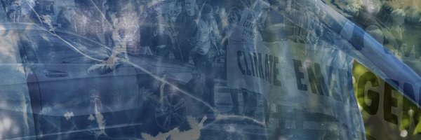 traceythorne Profile Banner