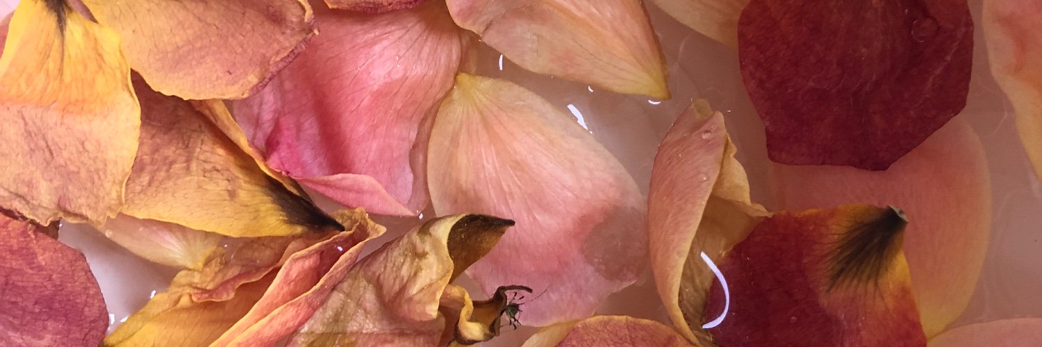 Hannah Macpherson banner