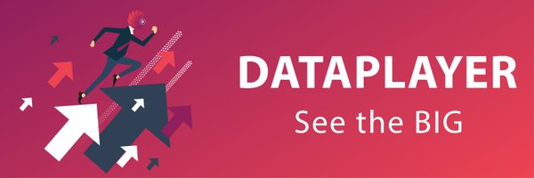 DataPlayerIO Profile Banner