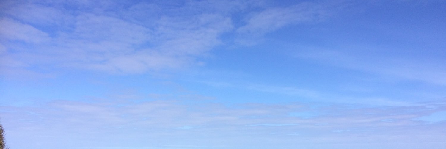 susmitasroy's profile banner image