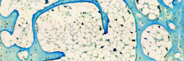 eth_bone Profile Banner