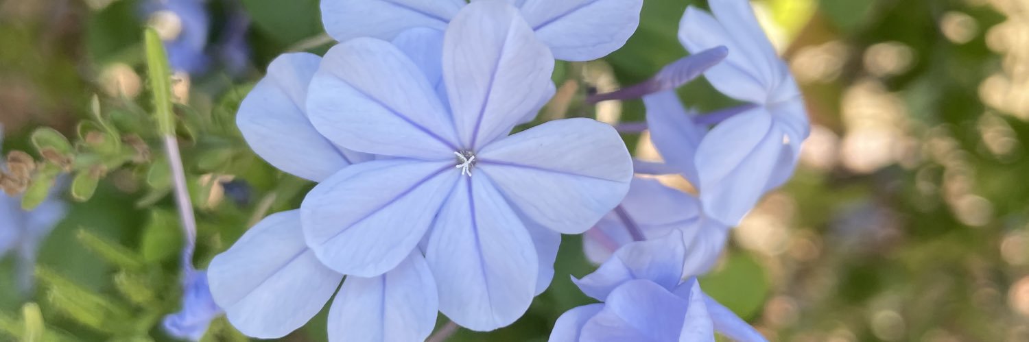 あいりーん banner