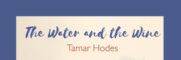 HodesTamar Profile Banner