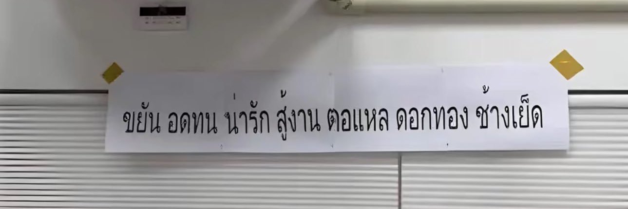 เนเน่จังเดส banner