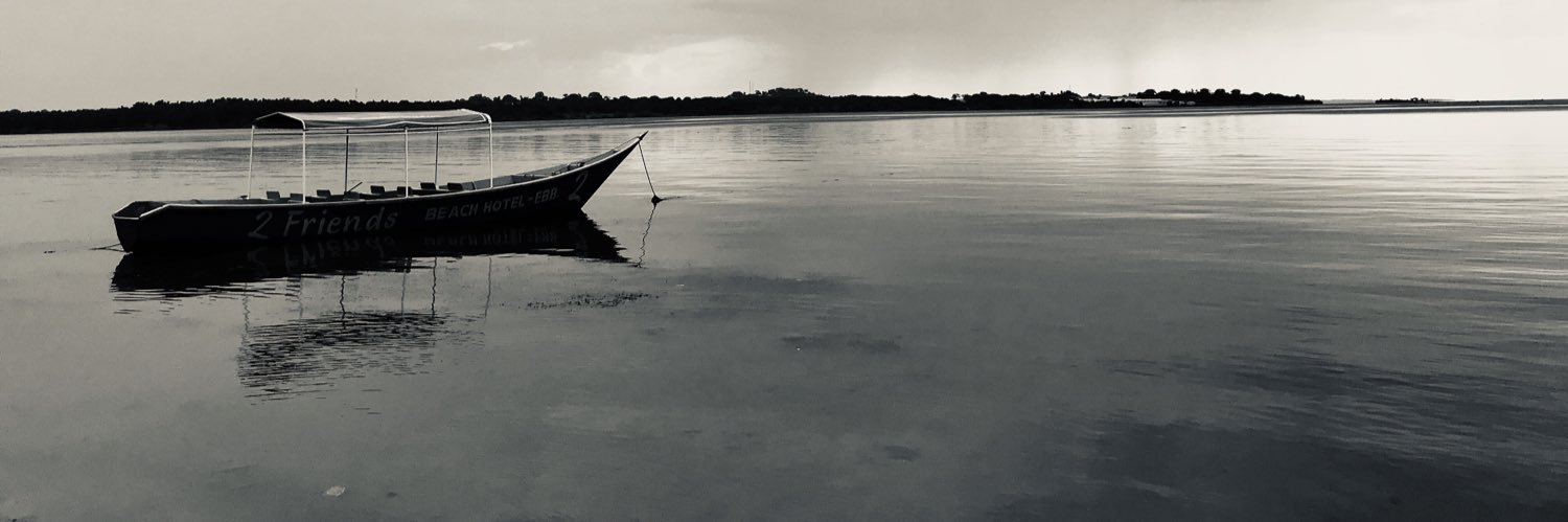 lottirutter's profile banner image