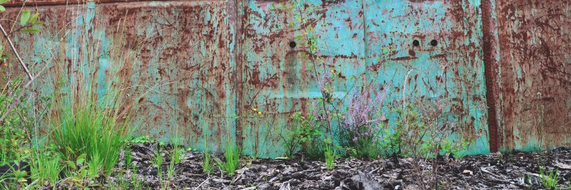 vero_Rox3's profile banner image