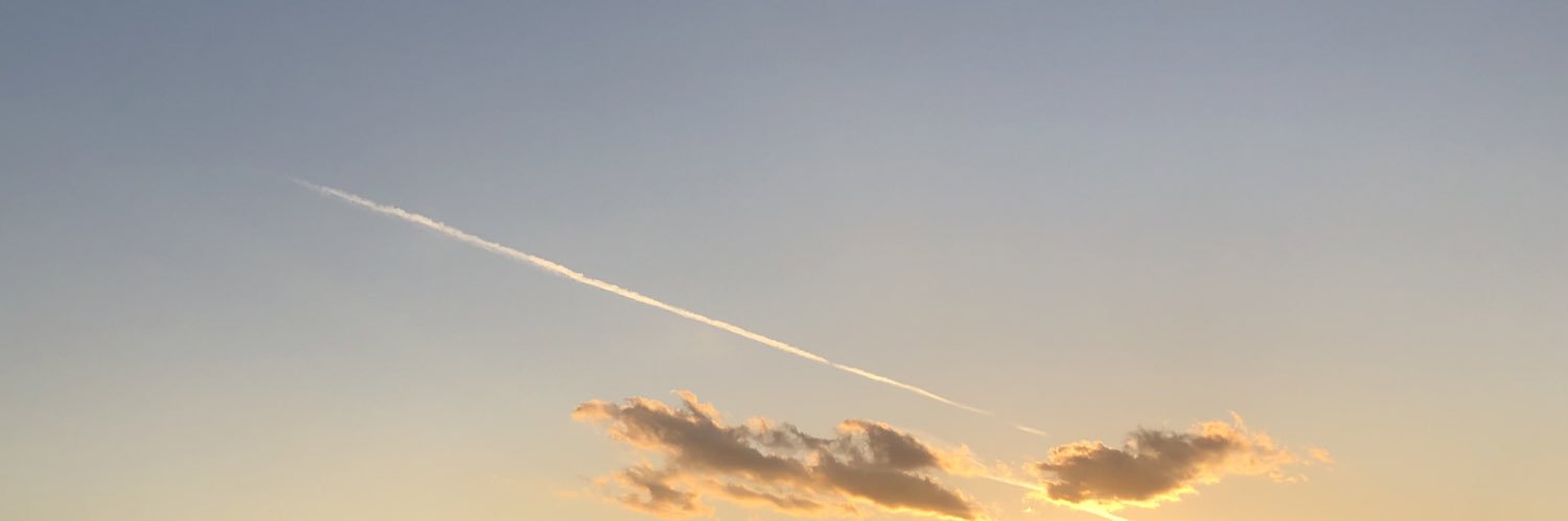 花梨* banner