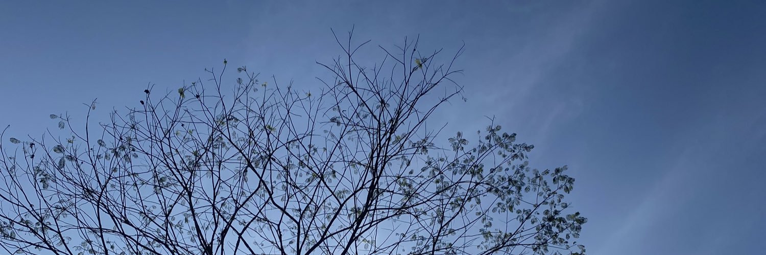 ahmuz's profile banner image