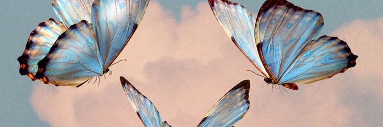pxddv's profile banner image