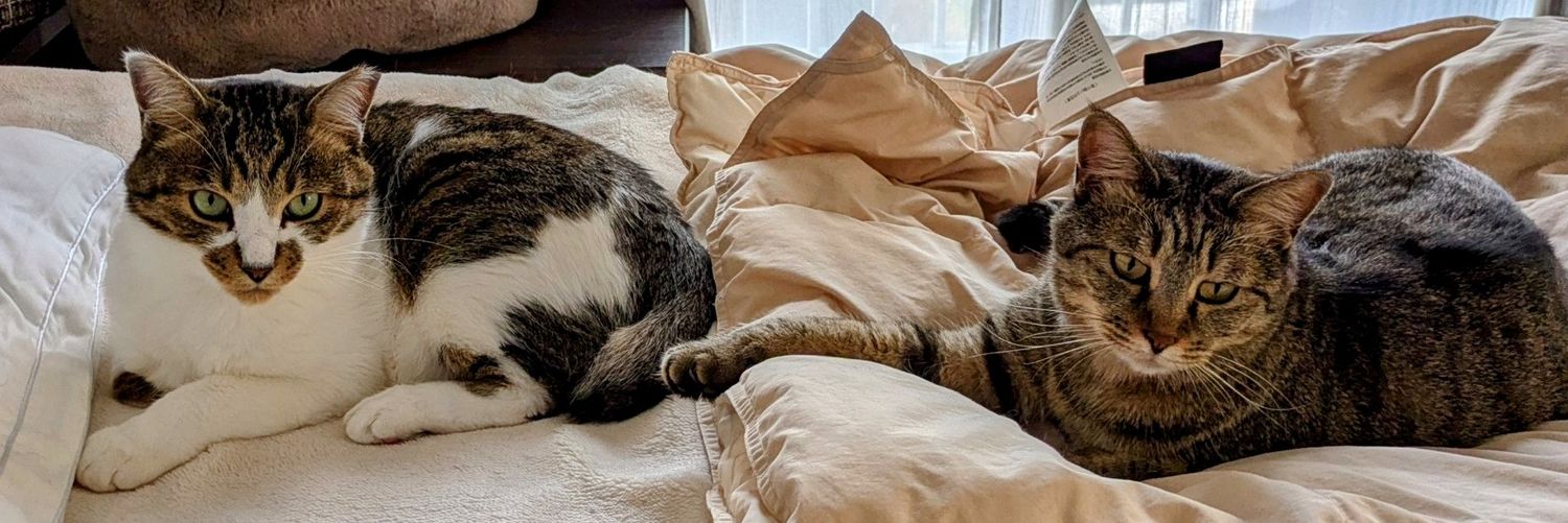 tsubuco's profile banner image