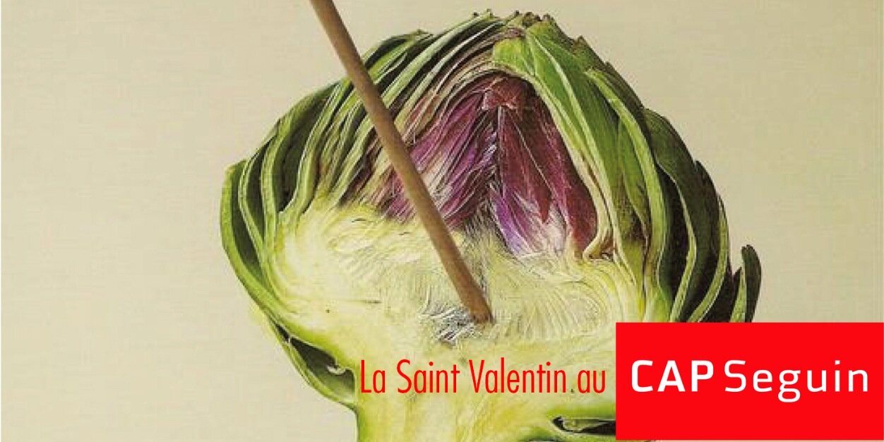 Cap Seguin banner