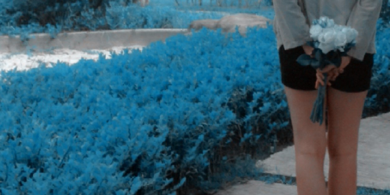 devinaed's profile banner image