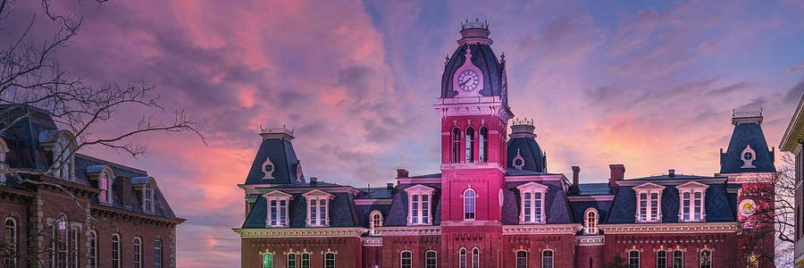 Political Science banner