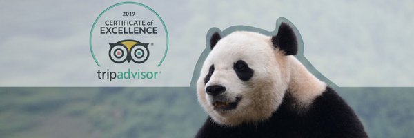 mypandatours Profile Banner