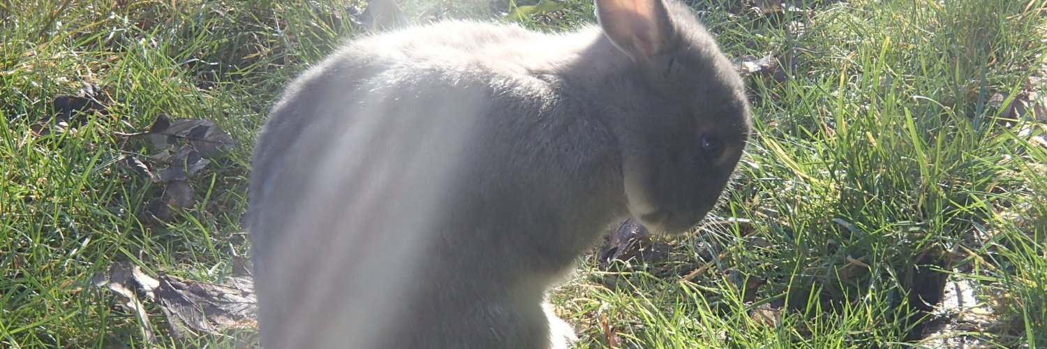 Don Sayers. Ye/Olde banner