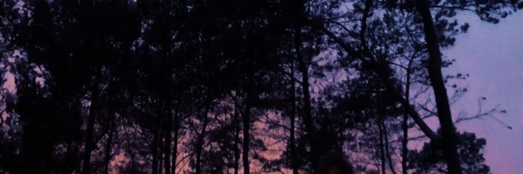 kamil_bradle's profile banner image
