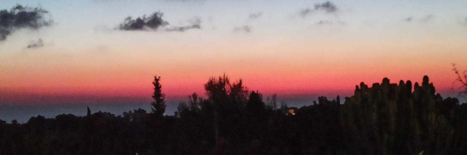 vallioli_'s profile banner image