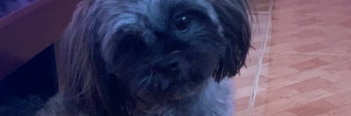 krissyann14's profile banner image
