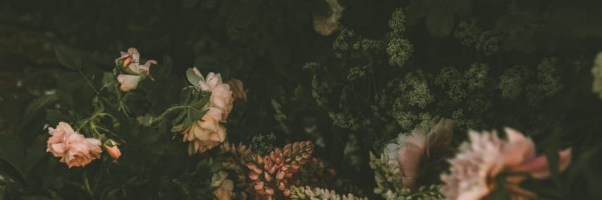OmDento's profile banner image