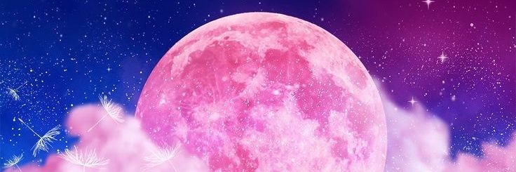 martkaksg's profile banner image