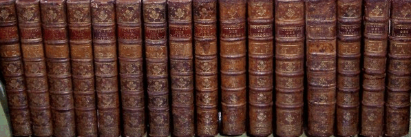 LMichalon's profile banner image