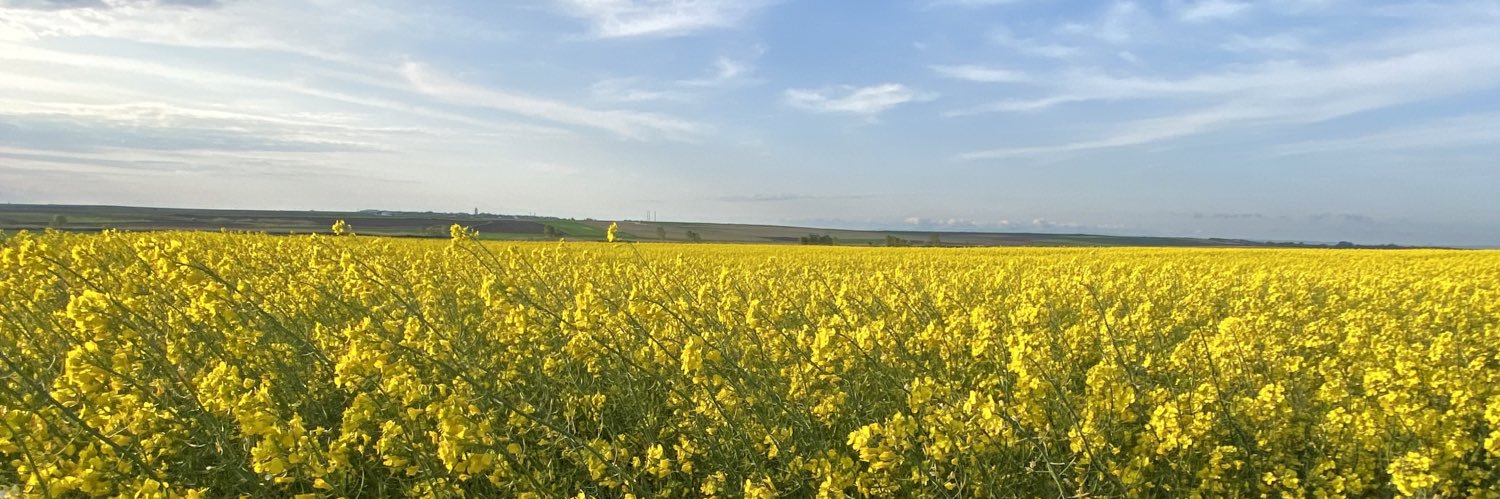 muratakinocak's profile banner image