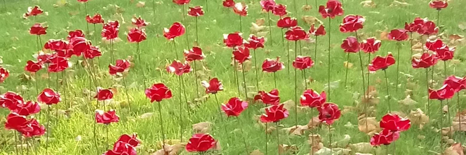 Goretti Doolan banner