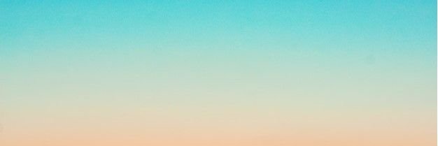 🐝缶雚🍯 banner