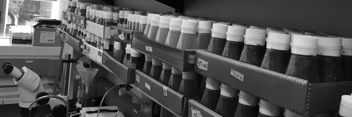 Rachel Smith-Bolton banner