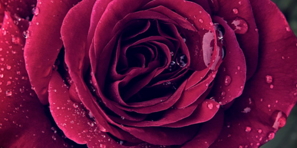 s_UNUY's profile banner image