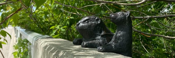 SaugaCulture Profile Banner