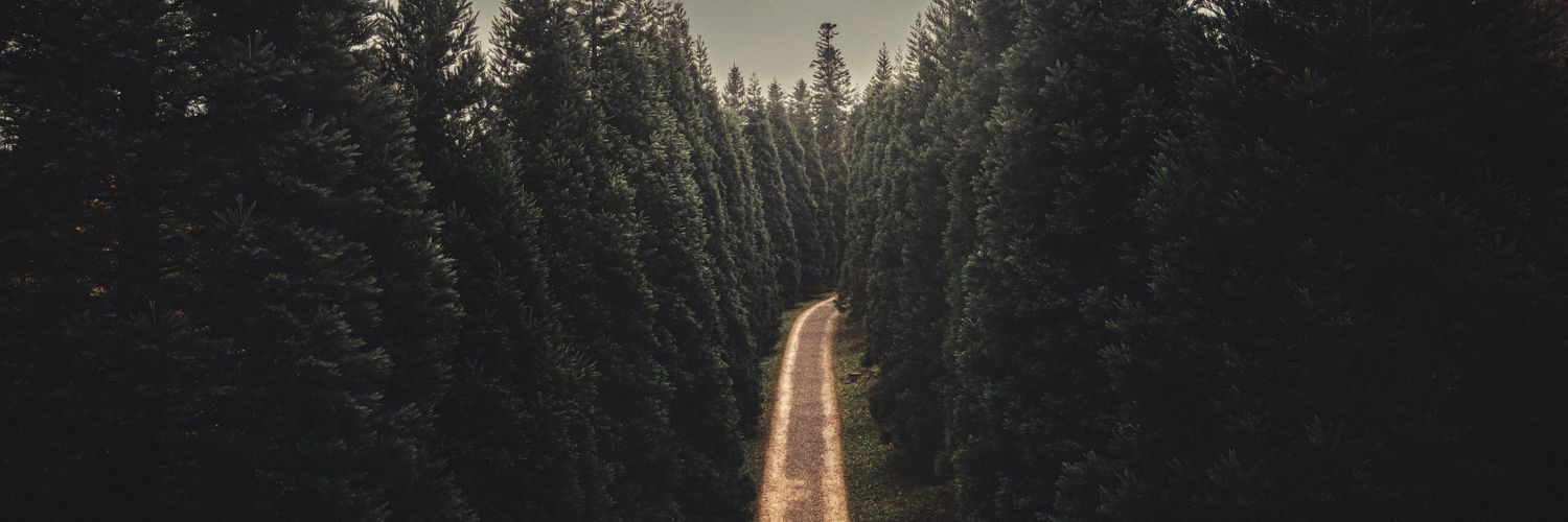 Sam Wolf 🍥 banner