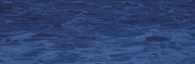 ashley banner