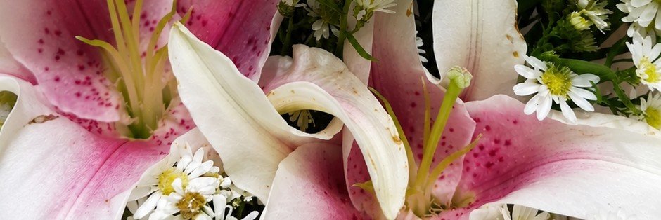 tintedfleur's profile banner image