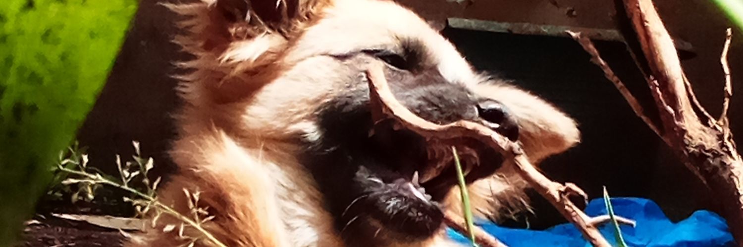 BMaragwa's profile banner image