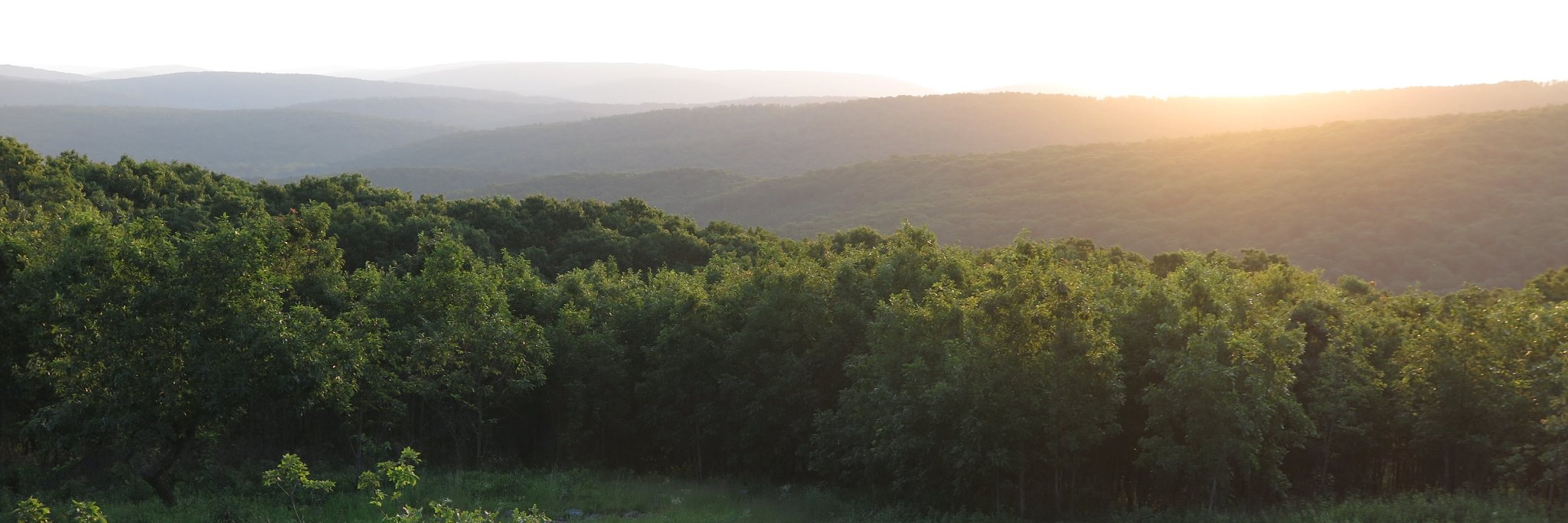 Ozark Trail banner