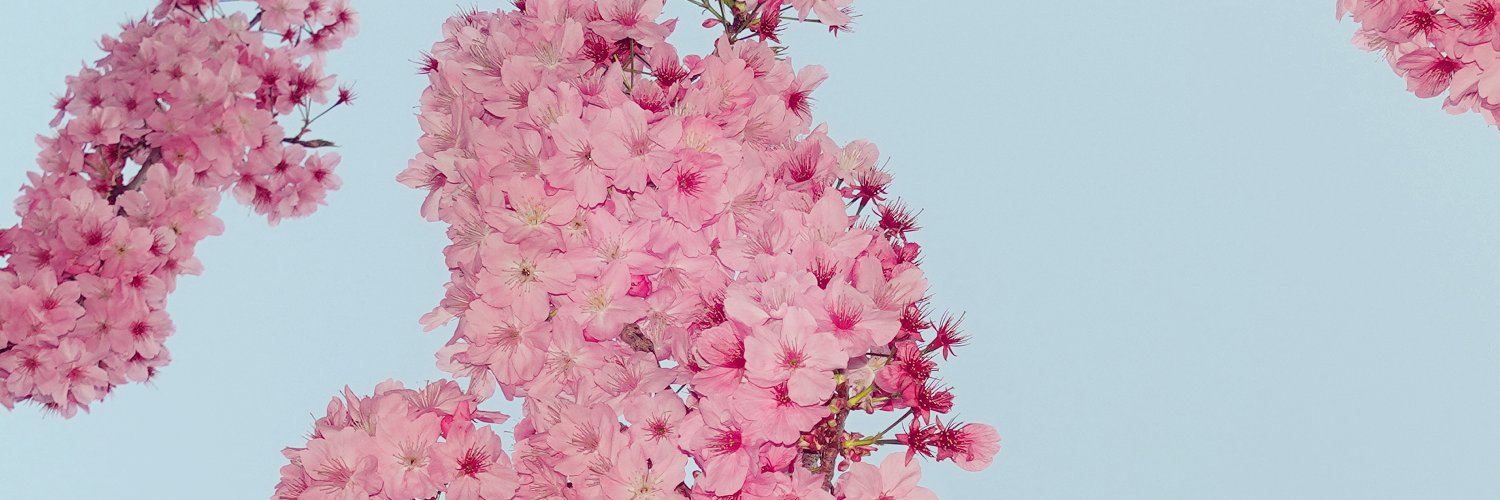 ふゆん's banner