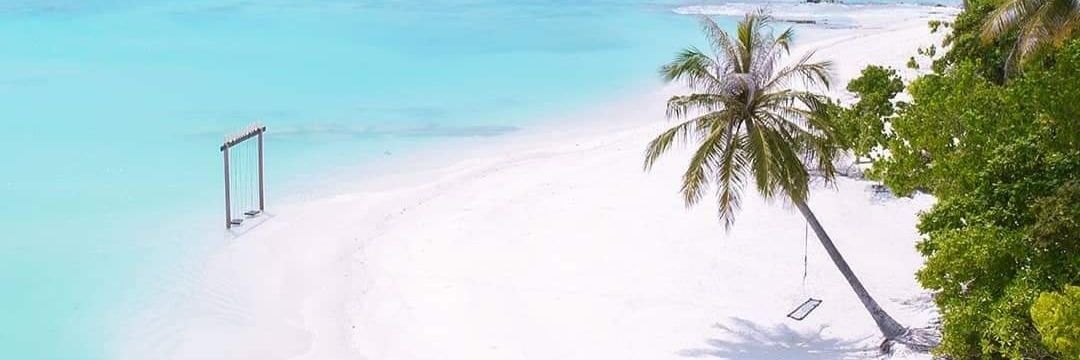 AliAzuhar's profile banner image